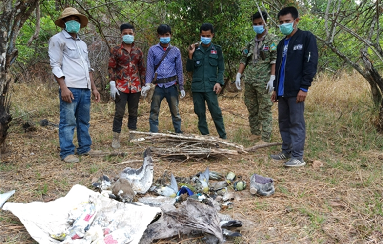 A mixture of dead birds and poison recovered from the site CREDIT: WCS